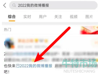 《微博》2022年度报告查询方法