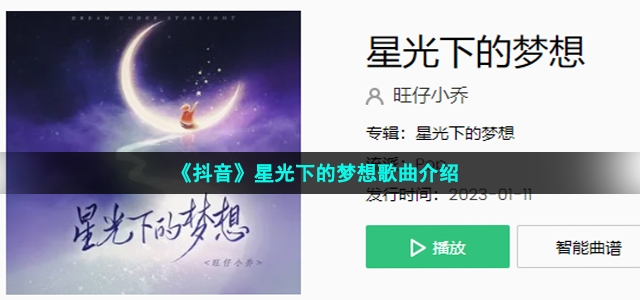 《抖音》星光下的梦想歌曲介绍