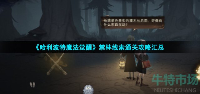 《哈利波特魔法觉醒》禁林线索通关攻略汇总