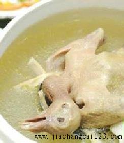 炖奉香鸽