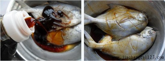 黑椒鲳鱼