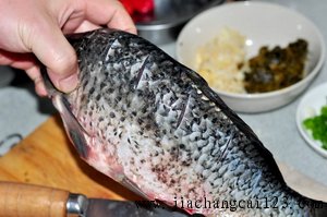 老成都家常豆瓣鱼步骤2