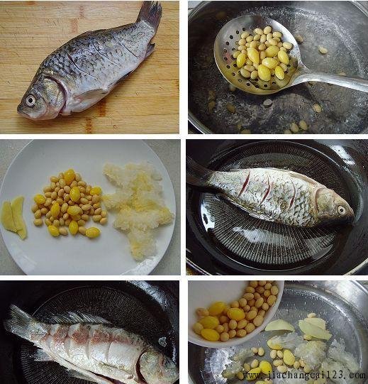 白果黄豆鲫鱼汤
