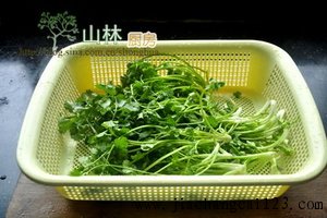 凉拌香菜