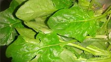 红根菠菜粉丝炒鸡蛋步骤1