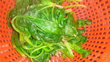 红根菠菜粉丝炒鸡蛋步骤2