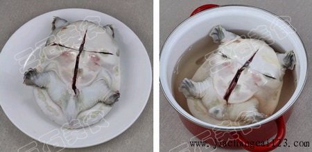 清炖甲鱼步骤1-2